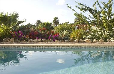 Villa in Willemstad (Curacao) or holiday homes and vacation rentals