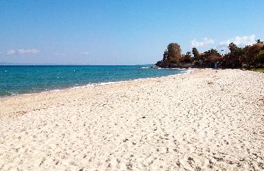 The beach - Southeast view