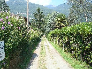 Holiday House in Sorico (Como) or holiday homes and vacation rentals