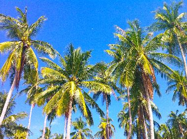 Holiday Apartment in Koh Tao (Surat Thani) or holiday homes and vacation rentals