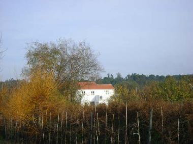 Holiday House in Arganil (Pinhal Interior Sul) or holiday homes and vacation rentals