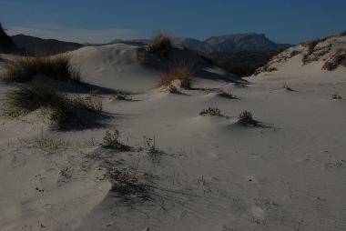 Holiday House in Budoni (Olbia-Tempio) or holiday homes and vacation rentals