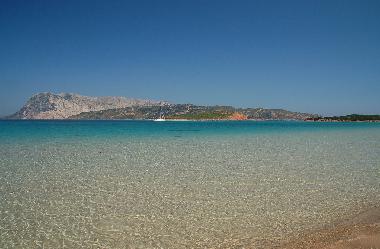 Holiday House in Budoni (Olbia-Tempio) or holiday homes and vacation rentals