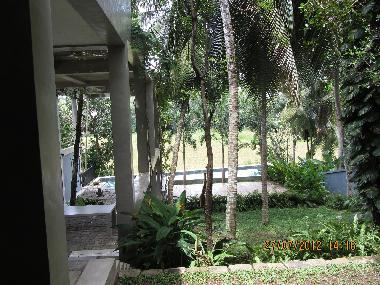 View of garden and pool from verandah