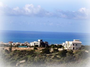 Holiday House in Kouklia (Paphos) or holiday homes and vacation rentals