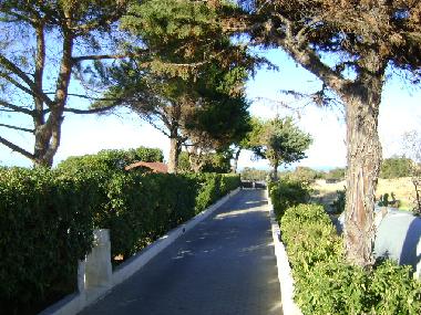 Holiday Apartment in Monopoli (Bari) or holiday homes and vacation rentals