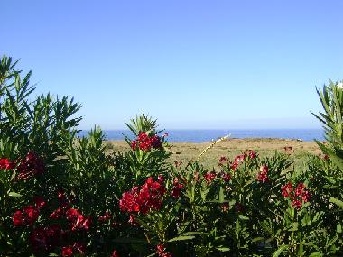 Holiday Apartment in Monopoli (Bari) or holiday homes and vacation rentals