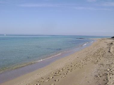 Holiday Apartment in Monopoli (Bari) or holiday homes and vacation rentals