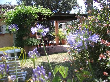 Holiday House in Ghisonaccia (Haute-Corse) or holiday homes and vacation rentals