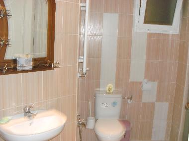 Villa in palmerais (Tunis) or holiday homes and vacation rentals