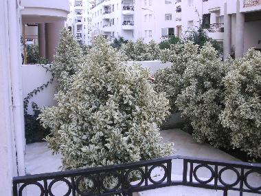 Villa in palmerais (Tunis) or holiday homes and vacation rentals