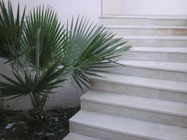 Villa in palmerais (Tunis) or holiday homes and vacation rentals
