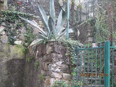 entrance