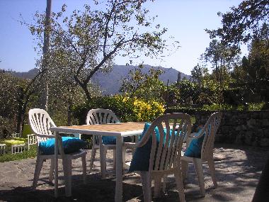 terrace