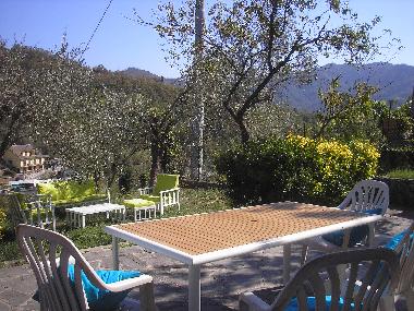 terrace and garden