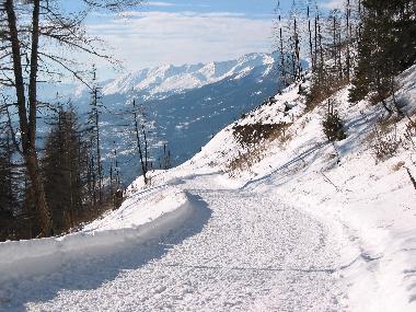 Holiday Apartment in Albinen (Albinen) or holiday homes and vacation rentals