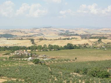 Holiday Apartment in Serre di Rapolano (Siena) or holiday homes and vacation rentals