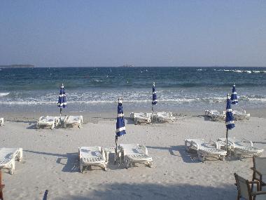 Holiday House in Travo (Haute-Corse) or holiday homes and vacation rentals