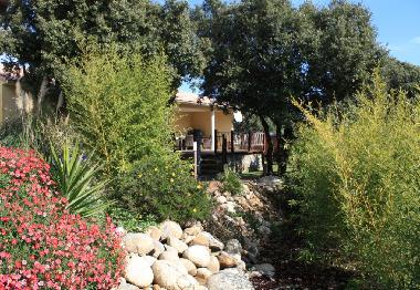 Holiday House in Travo (Haute-Corse) or holiday homes and vacation rentals