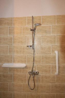 Walk in wet room style shower