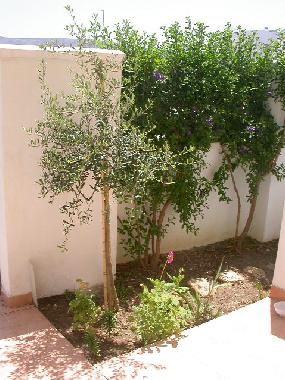 Holiday House in Zahara de los Atunes (Cdiz) or holiday homes and vacation rentals