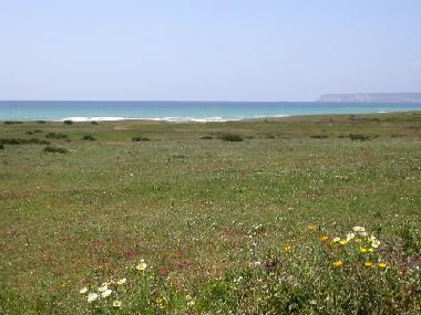 Holiday House in Zahara de los Atunes (Cdiz) or holiday homes and vacation rentals