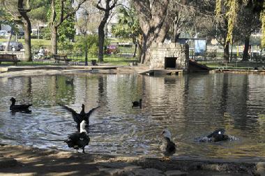 Holiday Apartment in Lisbonne (Grande Lisboa) or holiday homes and vacation rentals