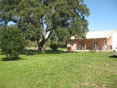 Holiday House in Solenzara (Corse-du-Sud) or holiday homes and vacation rentals