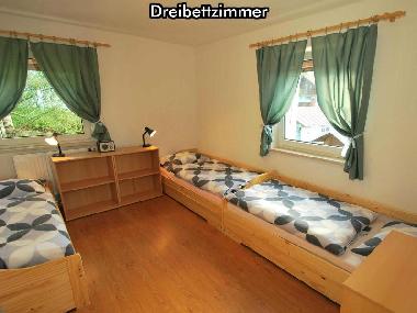 Holiday House in Mitterfirmiansreut (Mitterdorf) (Lower Bavaria) or holiday homes and vacation rentals