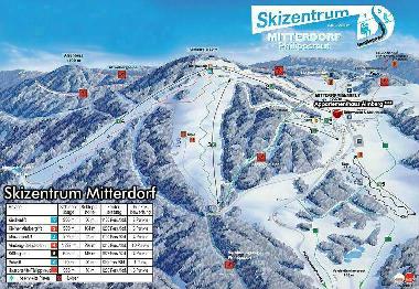 Holiday House in Mitterfirmiansreut (Mitterdorf) (Lower Bavaria) or holiday homes and vacation rentals