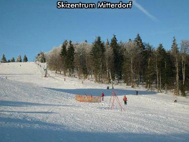 Holiday House in Mitterfirmiansreut (Mitterdorf) (Lower Bavaria) or holiday homes and vacation rentals