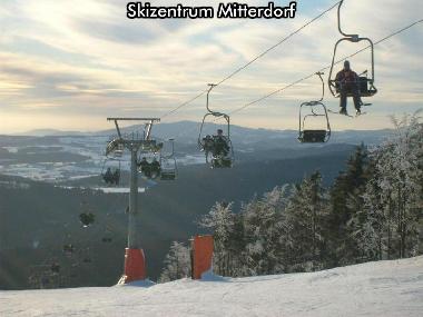 Holiday House in Mitterfirmiansreut (Mitterdorf) (Lower Bavaria) or holiday homes and vacation rentals