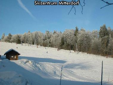 Holiday House in Mitterfirmiansreut (Mitterdorf) (Lower Bavaria) or holiday homes and vacation rentals
