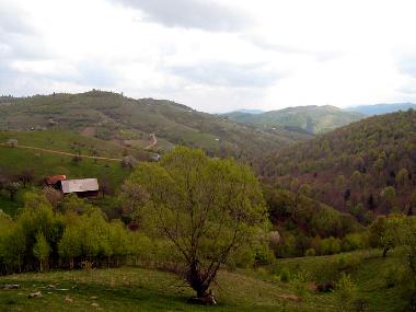 view from the hill slope above