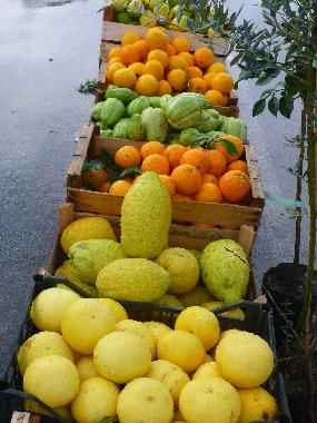 Holiday Apartment in Tonnarella (Messina) or holiday homes and vacation rentals