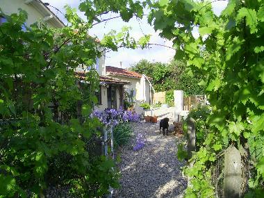 Villa in Parcoul (Dordogne) or holiday homes and vacation rentals