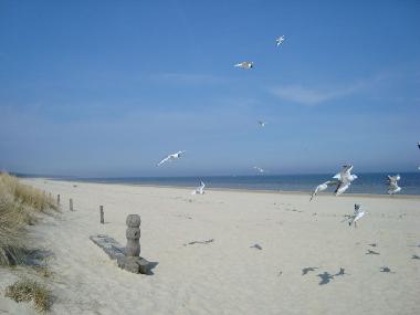 Holiday House in Karlshagen (Ostsee-Inseln) or holiday homes and vacation rentals