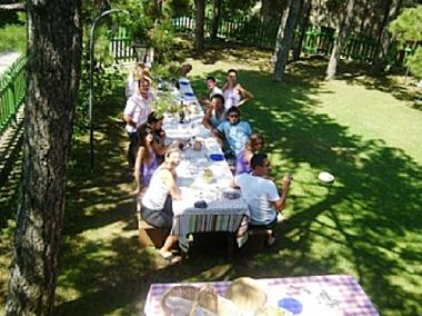Lunch in front garden