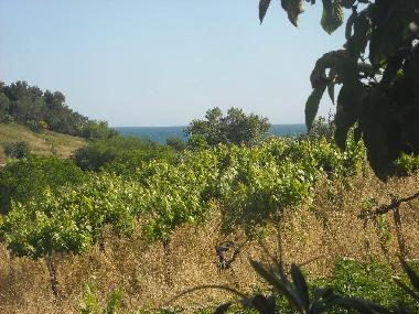 Holiday House in Rocca San Giovanni (Chieti) or holiday homes and vacation rentals