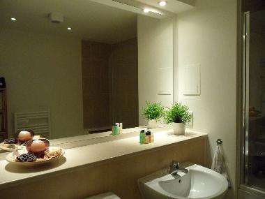 Holiday Apartment in London (Inner London) or holiday homes and vacation rentals