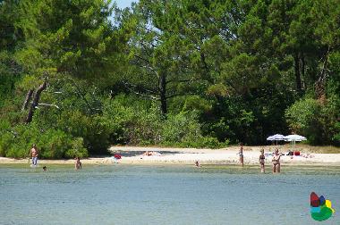 Holiday Apartment in cazaux (Gironde) or holiday homes and vacation rentals