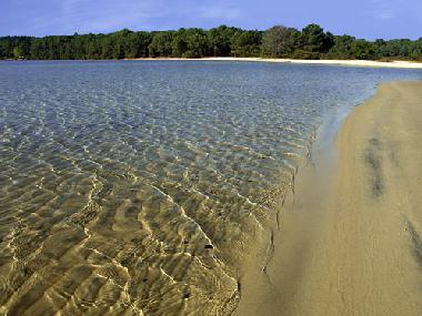 Holiday Apartment in cazaux (Gironde) or holiday homes and vacation rentals