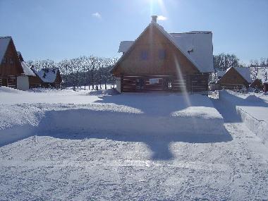 Holiday Apartment in Vrchlabi (Liberecky Kraj) or holiday homes and vacation rentals