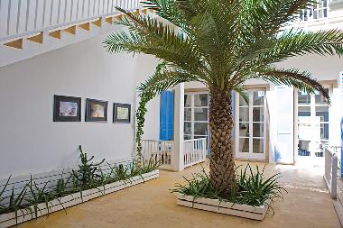 Holiday Apartment in sal rei (Boa Vista) or holiday homes and vacation rentals