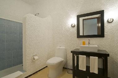 shower and toilet
