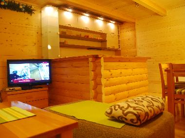 Holiday Apartment in Zlatibor (Central Serbia) or holiday homes and vacation rentals