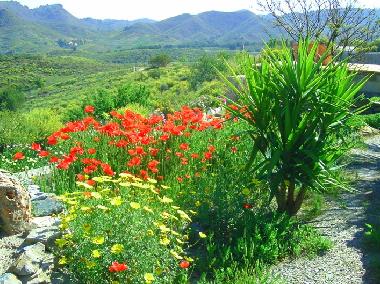 Holiday Apartment in Purias (Murcia) or holiday homes and vacation rentals