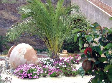 Holiday Apartment in Purias (Murcia) or holiday homes and vacation rentals