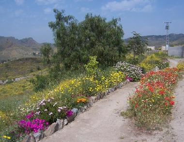 Holiday Apartment in Purias (Murcia) or holiday homes and vacation rentals