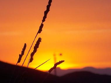 Holiday Apartment in Purias (Murcia) or holiday homes and vacation rentals